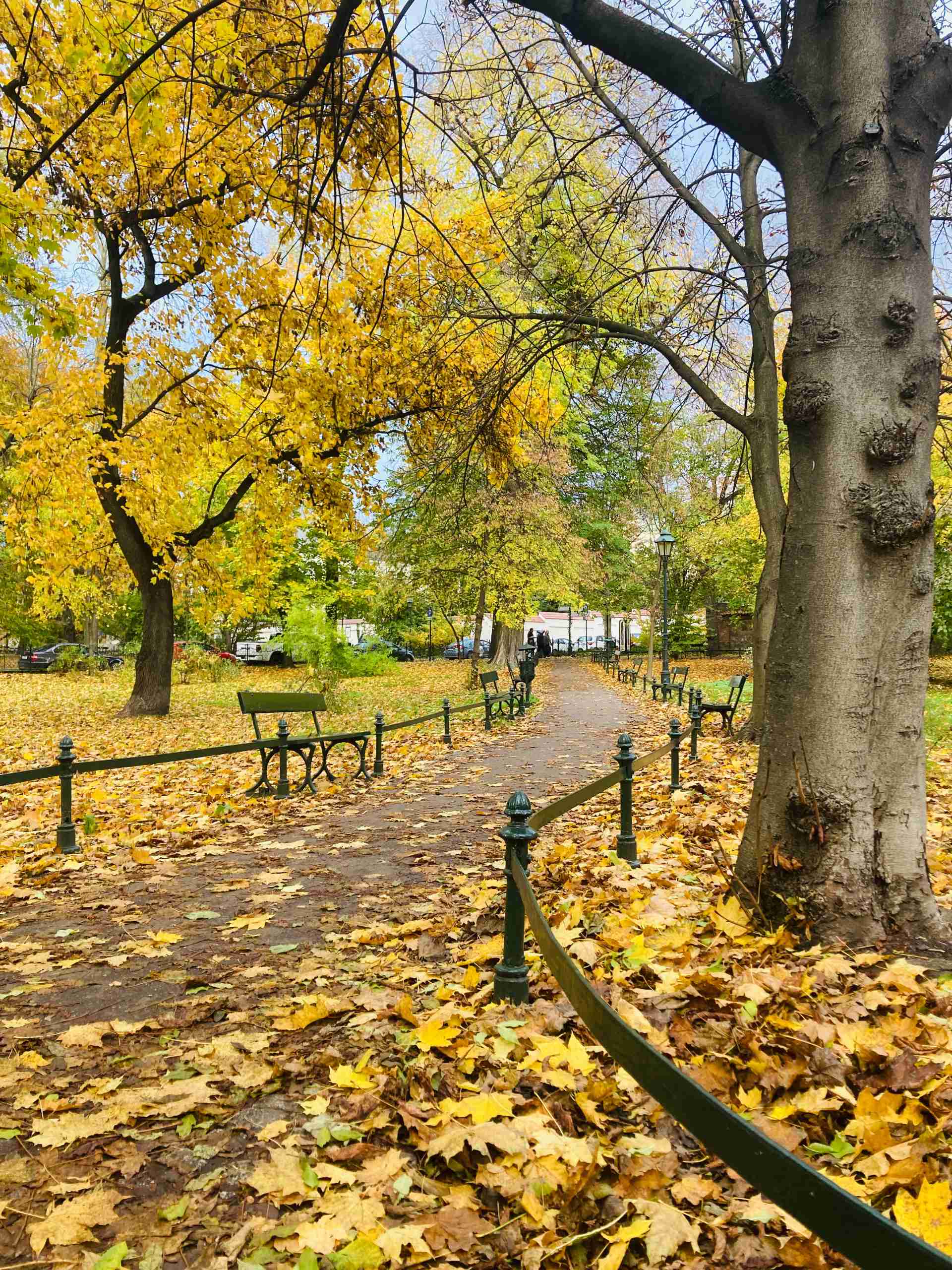 Planty park — walking with children in Kraków